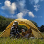 Палатка Naturehike P-Series NH18Z022-P 210T/65D, двухместная, желтая — изображение 4